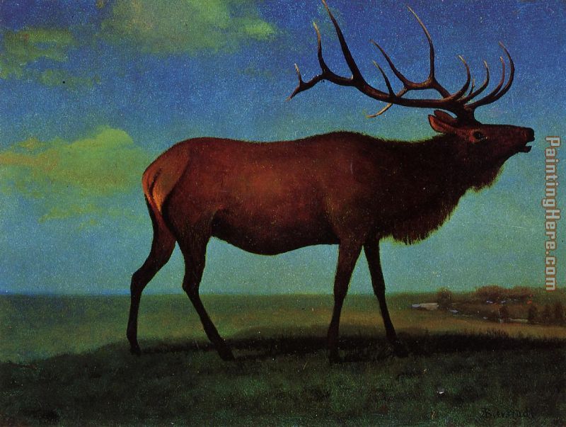 Elk painting - Albert Bierstadt Elk art painting